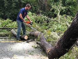  , USA Tree Care Services Pros